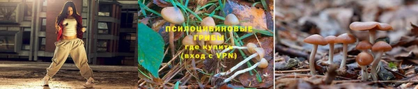 а пвп мука Алексин